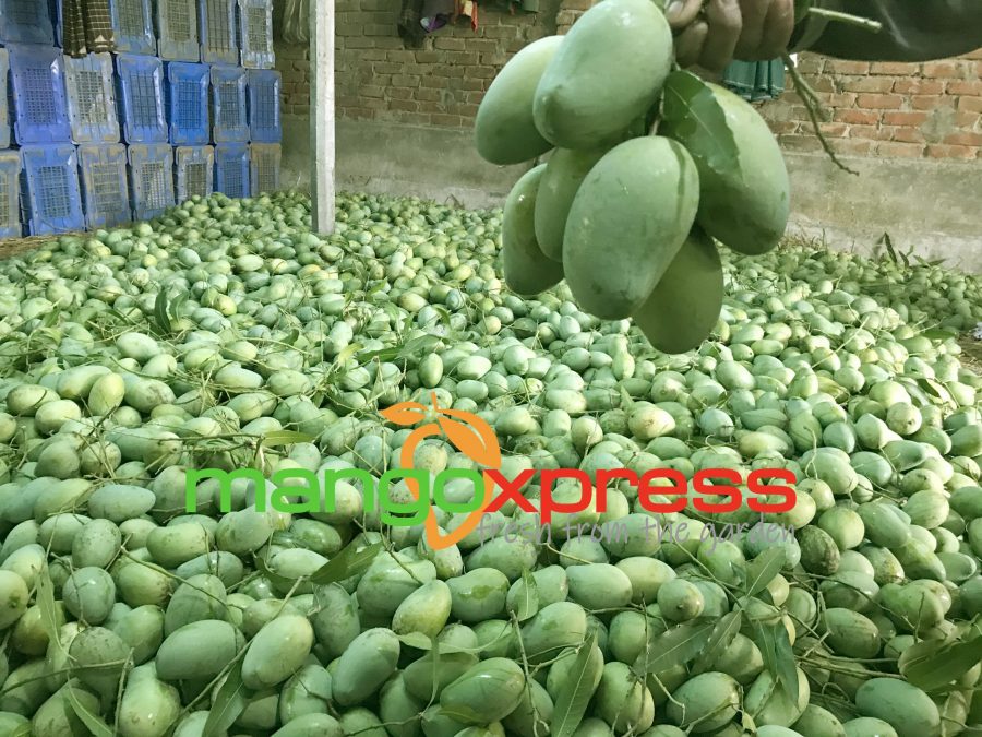 Aam Rupali – আম্রপালি আম – Nashi Mart