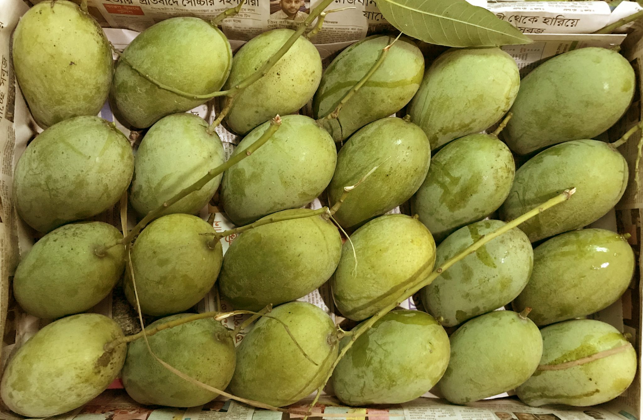 Aam Rupali – আম্রপালি আম – Nashi Mart
